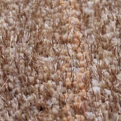 TOP MULTI Teppich Shaggy Flokatiteppich Gold 100 x 180 cm